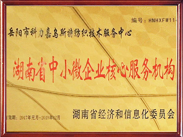 湖南省中小微企业核心服务机构