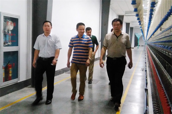 新任县长陶吉伟视察我公司
