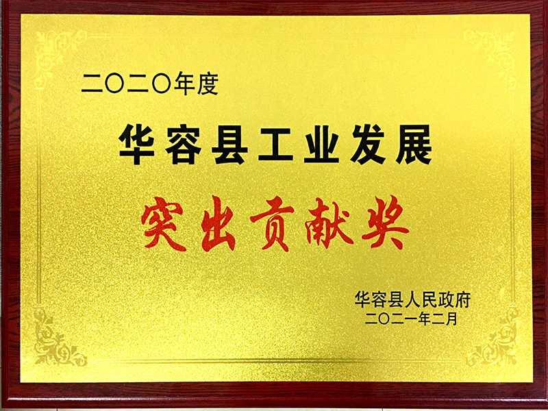 2021年华容县工业发展突出贡献奖