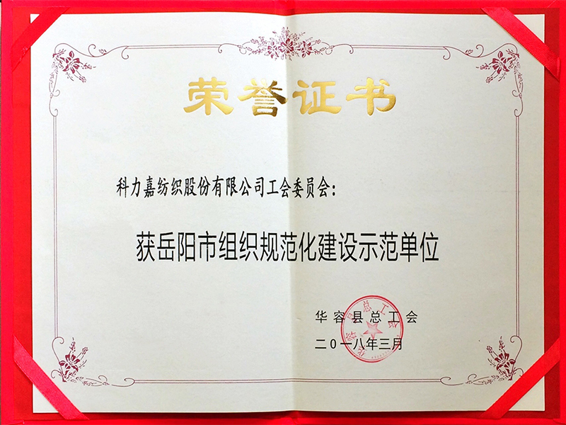 岳阳市组织规范化建设示范单位