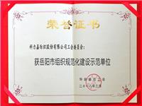 岳阳市组织规范化建设示范单位