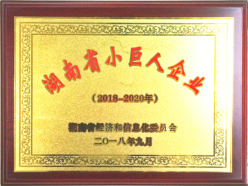 2018-2021湖南省小巨人企业