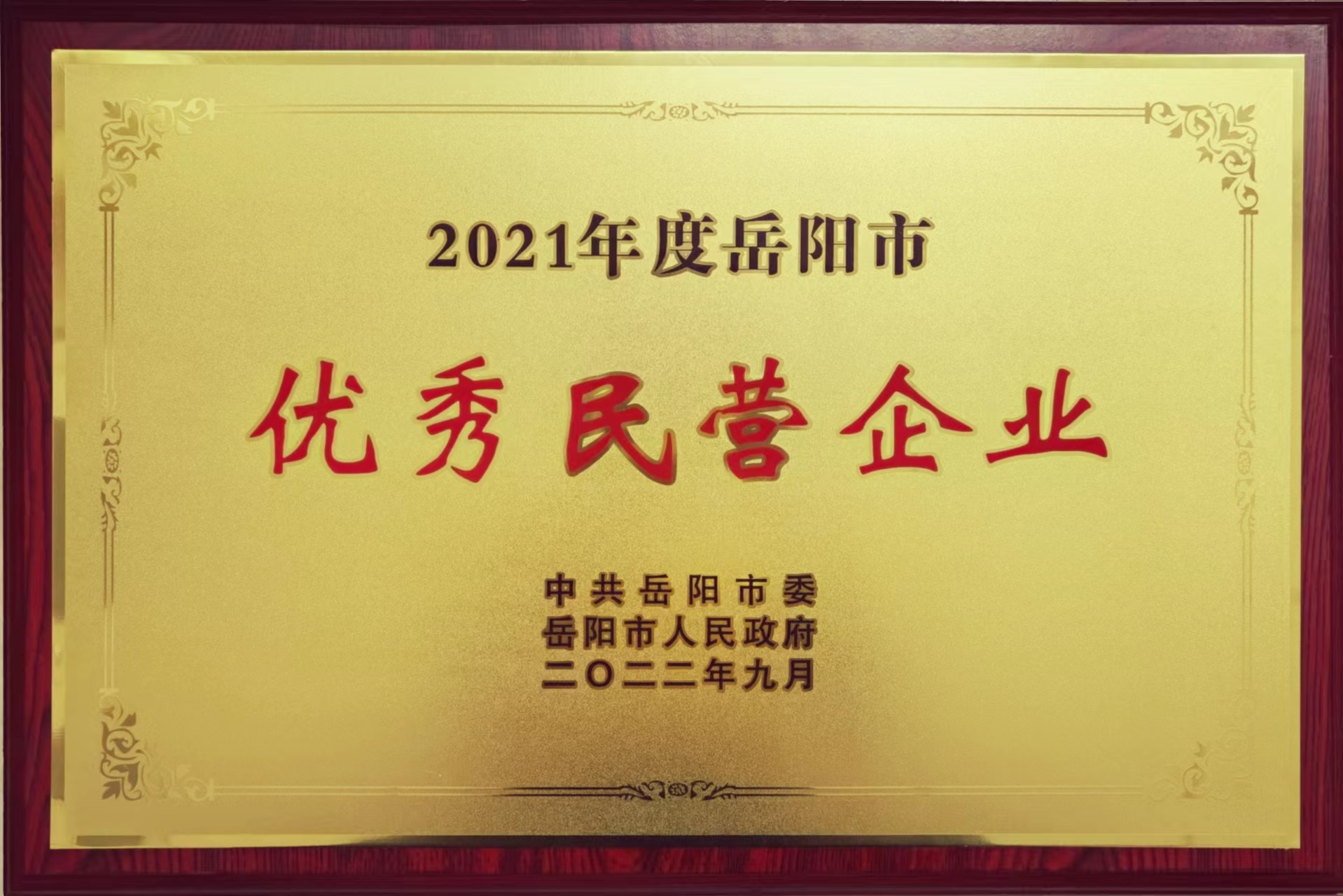 优秀民营企业