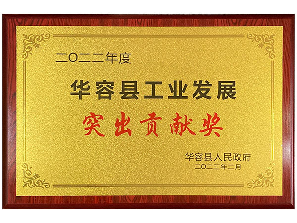 突出贡献奖 2022年度