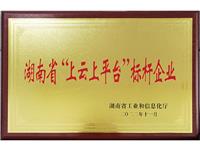  湖南省“上云上平台”标杆企业