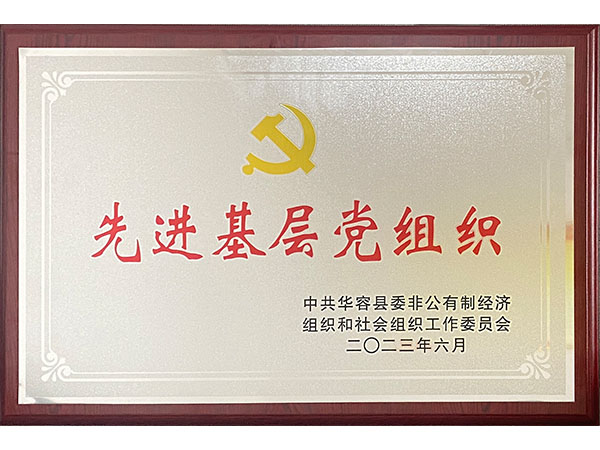 先进基层党组织