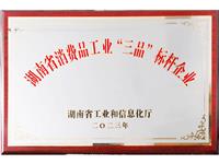 湖南省消费品工业“三品”标杆企业