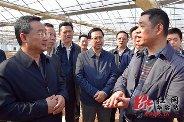 湖南科力嘉纺织股份有限公司,湖南环锭纺纱销售,气流纺纱销,高档精梳紧密纺赛络纺棉纱哪里好 湖南科力嘉纺织股份有限公司,湖南环锭纺纱销售,气流纺纱销,高档精梳紧密纺赛络纺棉纱哪里好