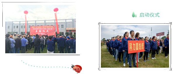 湖南科力嘉纺织股份有限公司,湖南环锭纺纱销售,气流纺纱销,针织纱,高档精梳紧密纺赛络纺棉纱哪里好
